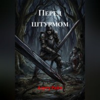 Аэрту Райн. Перед штурмом