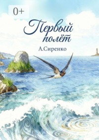 Первый полёт