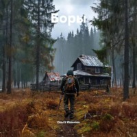 Ольга Иванова. Боры