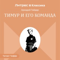 Тимур и его команда