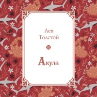 . Акула