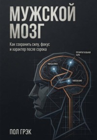 Мужской мозг