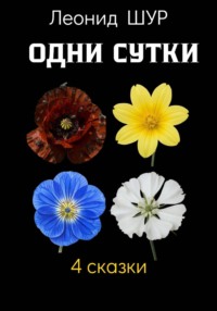 Одни сутки