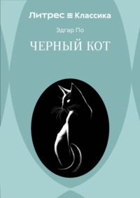 Черный кот