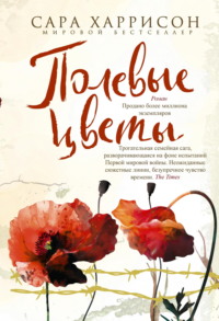 Полевые цветы