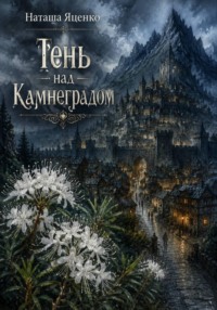 Тень над Камнеградом