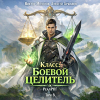 Класс: Боевой Целитель. Том 6