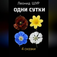 Одни сутки