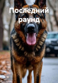 Последний раунд