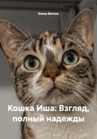 Кошка Иша: Взгляд, полный надежды