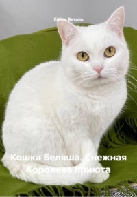 Кошка Беляша. Снежная Королева приюта