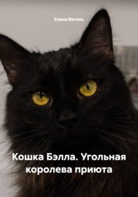 Кошка Бэлла. Угольная королева приюта