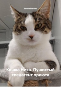 Кошка Ника. Пушистый спецагент приюта