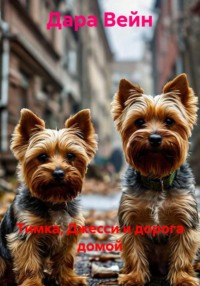 Тимка, Джесси и дорога домой