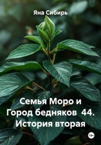 Семья Моро и Город бедняков  44. История вторая