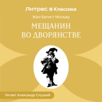 Мещанин во дворянстве