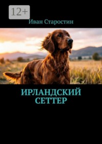 Ирландский сеттер