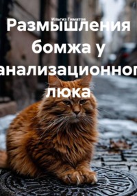 Размышления бомжа у канализационного люка