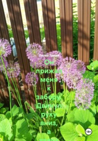 Он прижал меня к забору. Двинул руку вниз, а вверх вместе с полой сарафана. Со двора вышел сосед