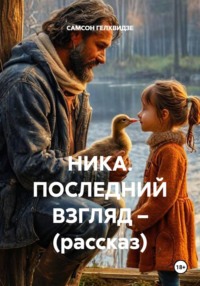 Ника. Последний взгляд. Рассказ