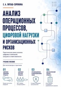 Анализ операционных процессов, цифровой нагрузки и организационных рисков