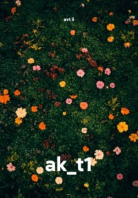 ak_t1