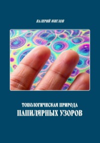 Топологическая природа папиллярных узоров