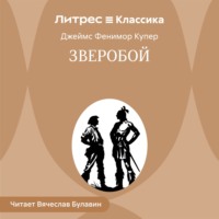 Зверобой