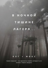 В ночной тишине лагеря...