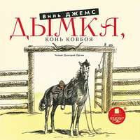Виль Джемс. Дымка. Конь ковбоя
