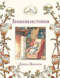 Зимняя история