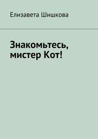 Знакомьтесь, мистер Кот!