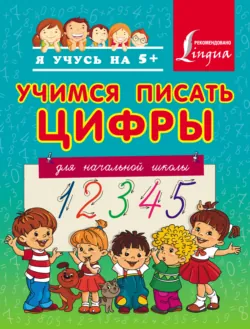 Учимся писать цифры. Для начальной школы - Сборник