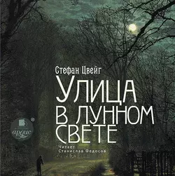 Улица в лунном свете, аудиокнига Стефана Цвейга. ISDN10889212