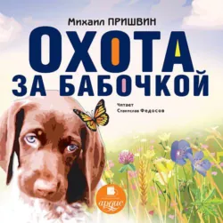 Лесные рассказы, аудиокнига . ISDN65319641