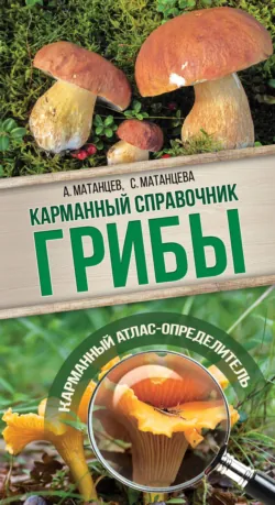 Грибы. Карманный атлас-определитель, Александр Матанцев Грибы. Карманный атлас-определитель, Александр Матанцев