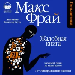 Туланский детектив. История, рассказанная леди Меламори Блимм, аудиокнига . ISDN17200949