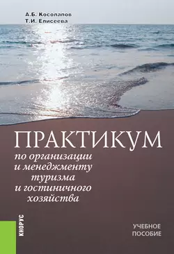 Практикум по организации и менеджменту туризма и гостиничного хозяйства. (Бакалавриат, Магистратура). Учебное пособие., аудиокнига Татьяны Ивановны Елисеевой. ISDN69779950