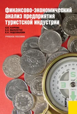 Финансово-экономический анализ предприятия туристской индустрии. (Аспирантура, Бакалавриат, Специалитет). Учебное пособие. - Ольга Каурова