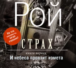 Банкротство мнимых ценностей, аудиокнига Олега Роя. ISDN23136318