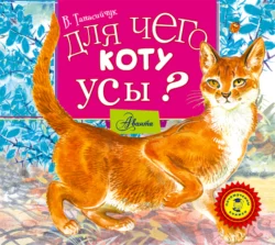 Для чего коту усы?, Виталий Танасийчук