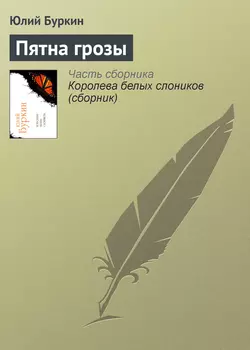 Пятна грозы - Юлий Буркин