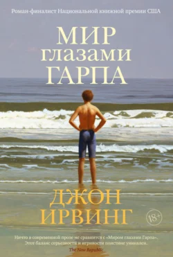 Мир глазами Гарпа, Джон Ирвинг