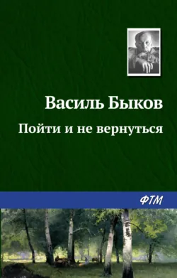 Пойти и не вернуться - Василий Быков