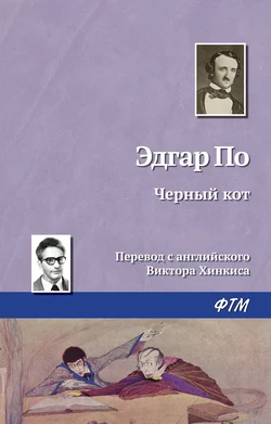 Черный кот, аудиокнига Эдгара Аллана По. ISDN132761