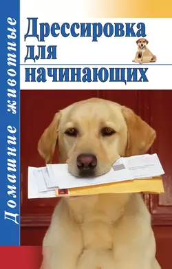 Дрессировка для начинающих, Тамара Руцкая
