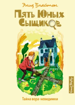 Тайна вора-невидимки Энид Блайтон