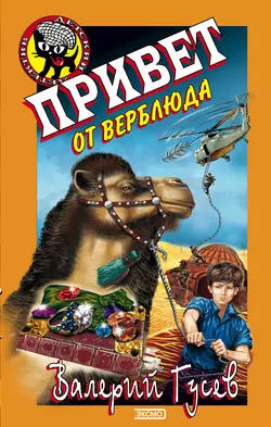 Каникулы с невидимкой, аудиокнига Валерия Гусева. ISDN163325