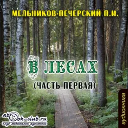 На горах. Часть 2, аудиокнига Павла Ивановича Мельникова-Печерского. ISDN23129051