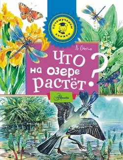 Что на озере растёт?, Анатолий Онегов